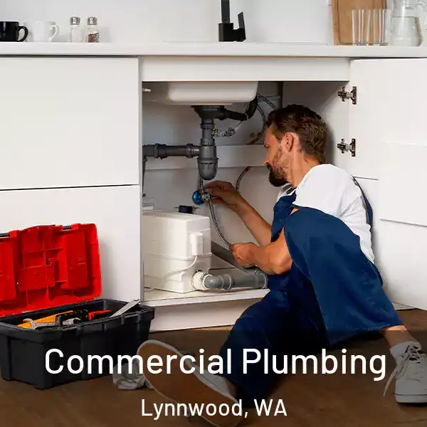  Commercial Plumbing Lynnwood, WA
