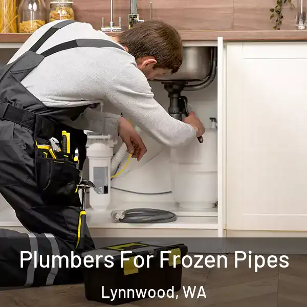  Plumbers For Frozen Pipes Lynnwood, WA