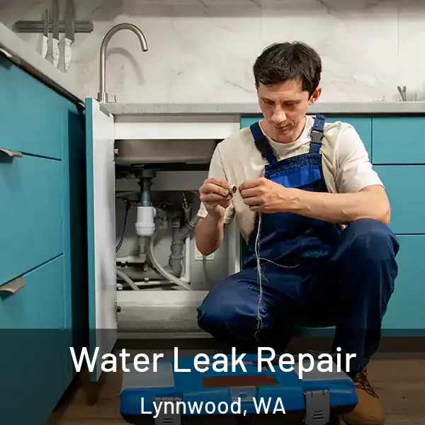 Water Leak Repair Lynnwood, WA